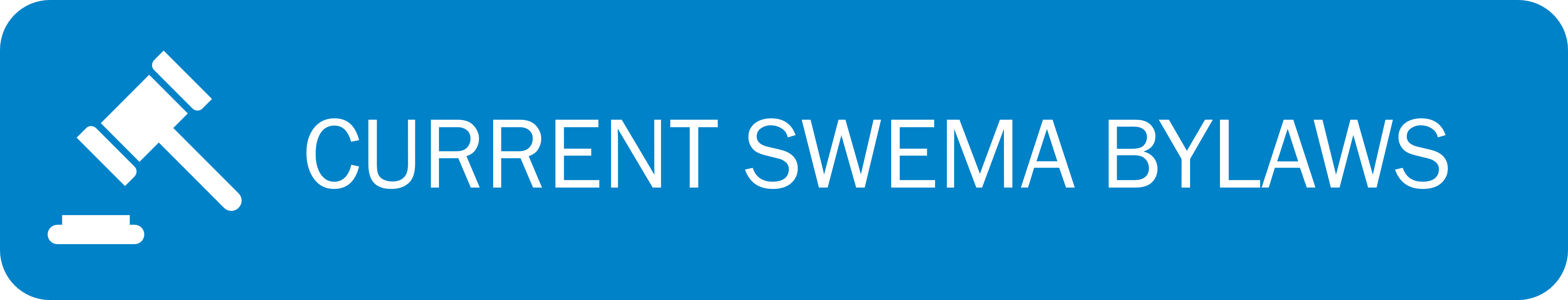 SWEMA Bylaws Button